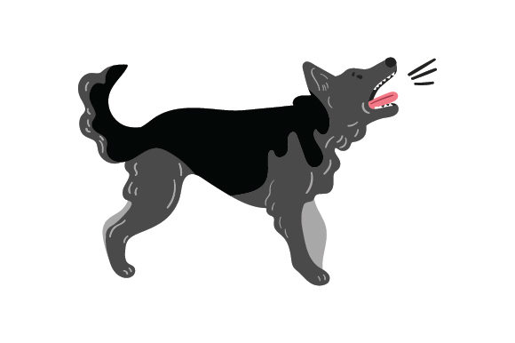 Barking Dog