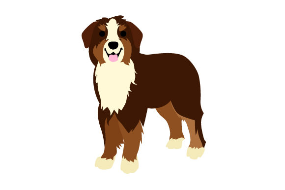 Bernese Mountain Dog