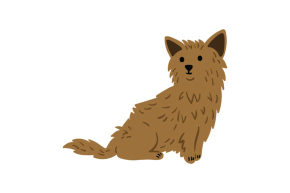 Chorkie Dog