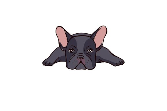 Cute Dog Illustration Svg