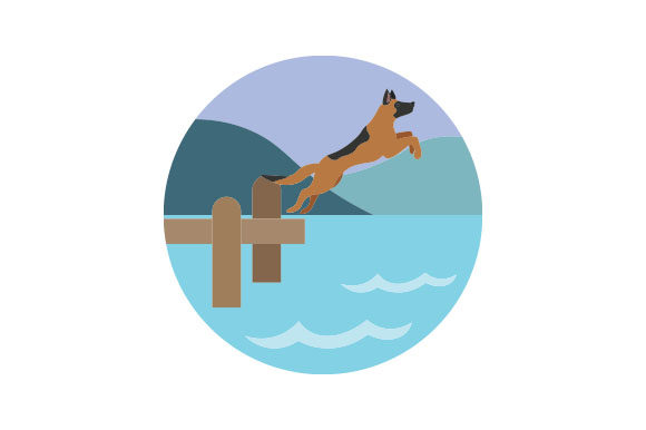 Dock Jumping Dog