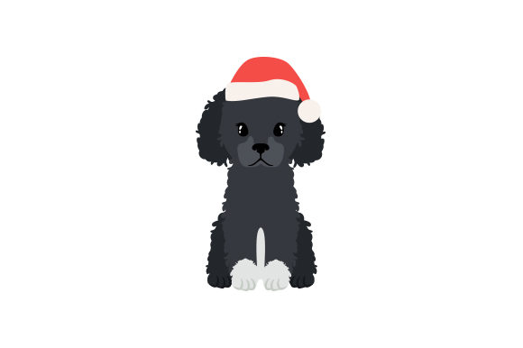 Fluffy Dog with Santa Hat