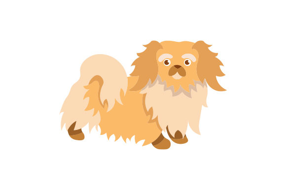 Pekingese Dog
