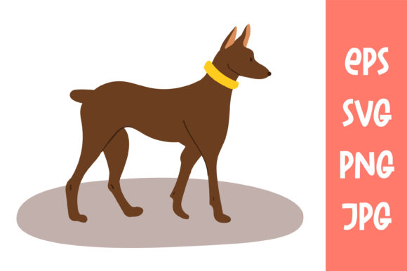 The Puppy is a Dwarf Pinscher. Doggy