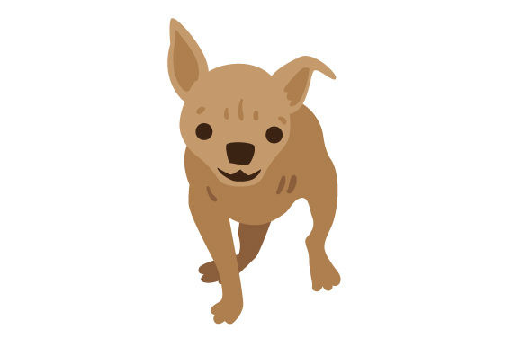 Three-legged Dog