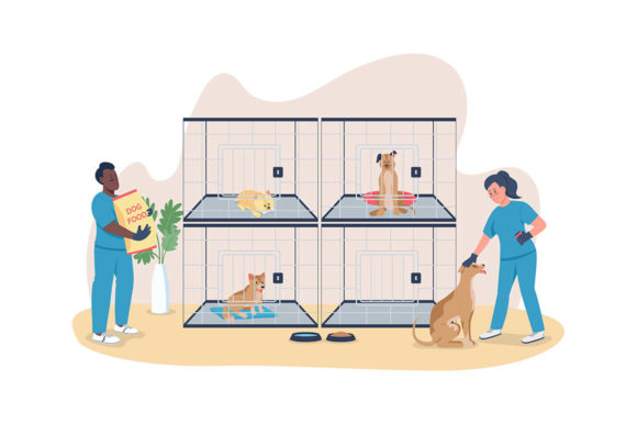 Veterinary Care for Dogs 2D Web Banner